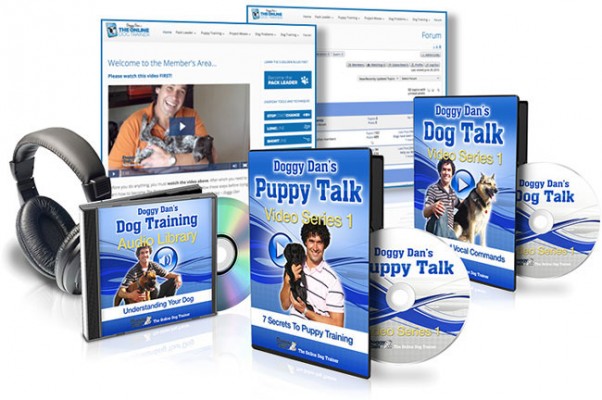 Doggy Dan The Online Dog Trainer